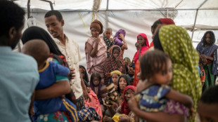 Ethiopie: Les enqu&ecirc;teurs de l'ONU saluent la coop&eacute;ration d'Addis Abeba