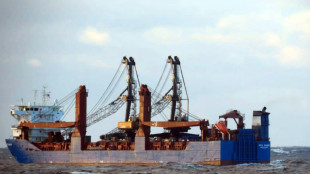 Deux marins port&eacute;s disparus apr&egrave;s le naufrage d'un cargo russe en M&eacute;diterran&eacute;e