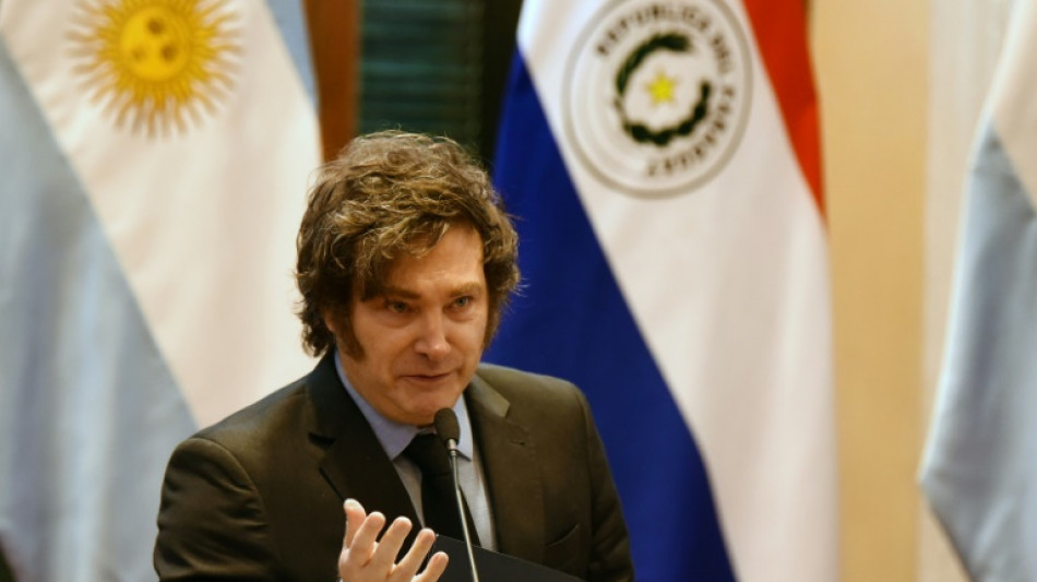 Erfolg f&uuml;r Pr&auml;sident Milei: Argentinien erh&auml;lt Finanzspritzen von 42 Milliarden Dollar