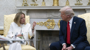 Anche Giorgia Meloni domani a Washington