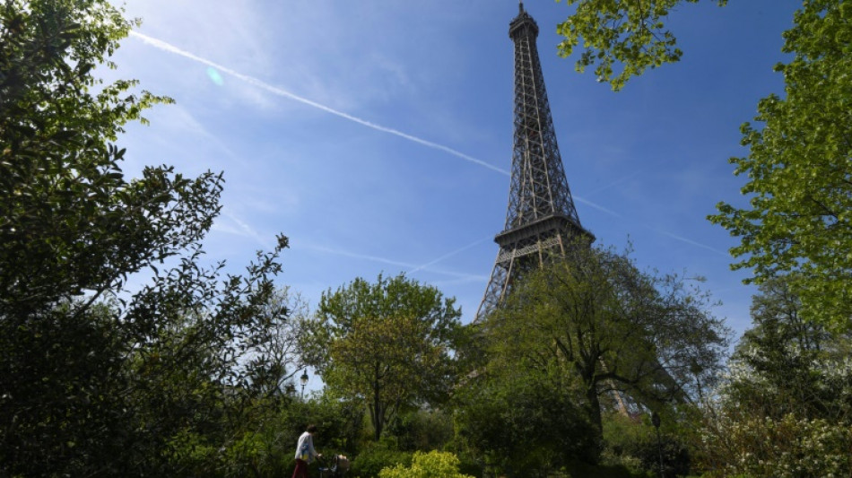 Paris: la mairie s'engage &agrave; ne pas abattre d'arbres au pied de la Tour Eiffel