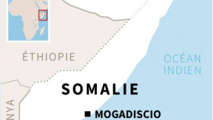Somalie: attaque islamiste en cours dans un h&ocirc;tel, au moins trois morts
