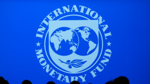 Le FMI alerte sur les "graves r&eacute;percussions" mondiales d'un &eacute;ventuel d&eacute;faut de paiement des Etats-Unis