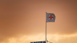 Bond de 70% en cinq ans du nombre de disparus dans le monde, selon le CICR