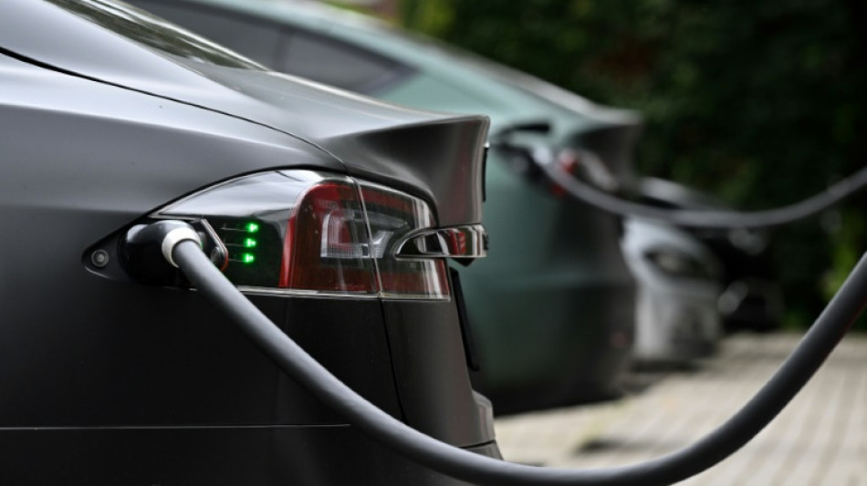"Bonne ann&eacute;e" 2023 pour le march&eacute; automobile fran&ccedil;ais, immmatriculations "record" de voitures &eacute;lectriques