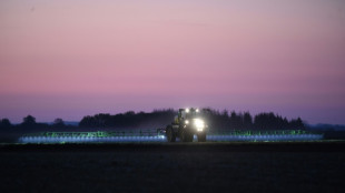 Bayer trabaja en la elaboraci&oacute;n de un sustituto del glifosato