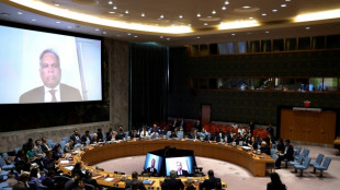 Scharfe Kritik an Israels Pl&auml;nen bei Dringlichkeitssitzung des UN-Sicherheitsrats 