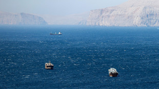 Media, mediatori vagliano proposte per la riapertura di Hormuz