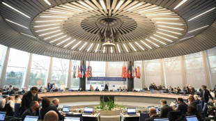 Le Conseil de l'Europe sur le point de sanctionner la Russie