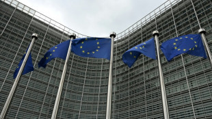 UE/Migration : les discussions sur les "hubs de retour" s'intensifient