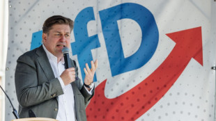 Spionageprozess gegen früheren Mitarbeiter von AfD-Politiker Krah begonnen