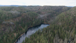 Noruega acelera los planes para explotar el mayor yacimiento de tierras raras de Europa