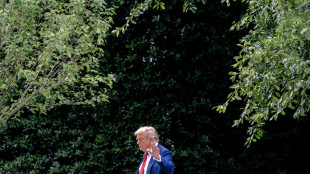 Trump, Russia e Ucraina stanno facendo progressi