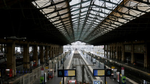Grève SNCF: le trafic francilien "fortement perturbé" sur certaines lignes