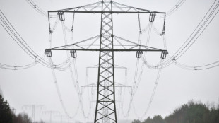 Brandstiftung an zwei Hochspannungsmasten in Berlin: Zehntausende ohne Strom