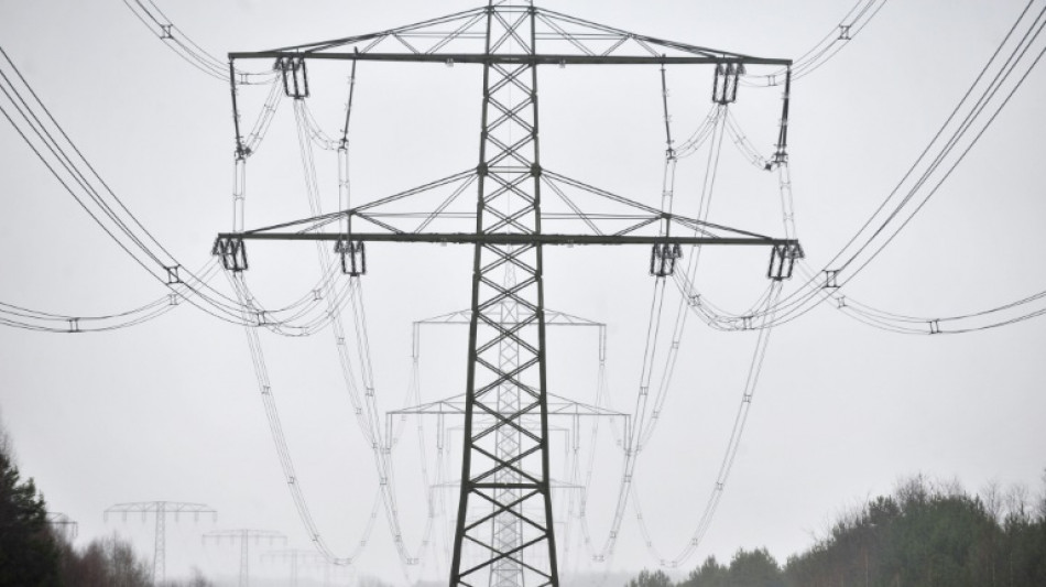 Tausende Berliner nach Brandanschlag auf Hochspannungsmasten weiter ohne Strom