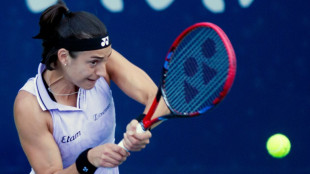 Tennis: Garcia porte les espoirs fran&ccedil;ais, Monfils enfin de retour