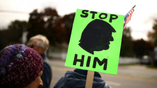Landesweite Anti-Trump-Proteste vor wichtigen US-Kongresswahlen