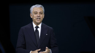 De Meo (Renault), l'Ue torni all'attacco sulle piccole auto