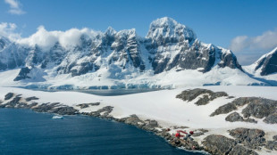 Surging tourism is polluting Antarctica, scientists warn