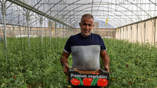 Les Palestiniens, sans permis de travail en Isra&euml;l, reviennent &agrave; la terre