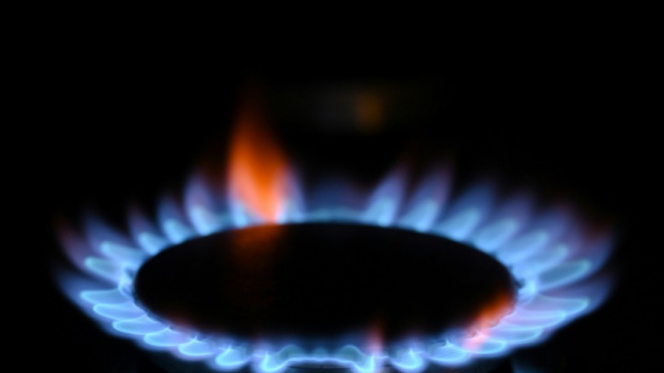 Energiewirtschaft bef&uuml;rchtet schlechtere Versorgungslage nach Rubel-Ank&uuml;ndigung Putins