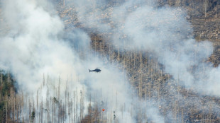 Gro&szlig;feuer am Brocken: L&ouml;scharbeiten werden &uuml;ber Nacht eingestellt
