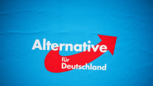 Chrupalla hofft auf AfD-Regierungsbeteiligung in ostdeutschen L&auml;ndern