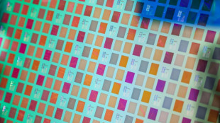 Tech stocks fuel Asian and European gains, Wall Street wobbles