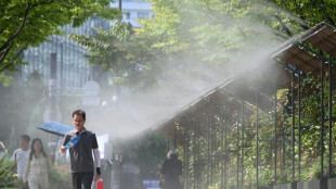 South Korea pro baseball league cancels games over heatwave
