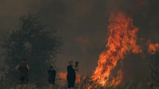 Aude: l'avancée du feu ralentit pendant la nuit, neuf blessés, l'A9 fermée