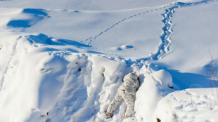 'Hard on the body': Canadian troops train for Arctic defense