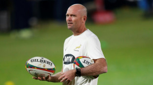 Ex-Springbok Habana 'not surprised' by Nienaber departure