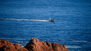 Protéger fortement des eaux françaises, un coût "pas insurmontable" pour la pêche, selon une étude