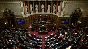 Aides publiques aux entreprises: le Sénat rend un rapport sur cette manne aux contours un peu flous