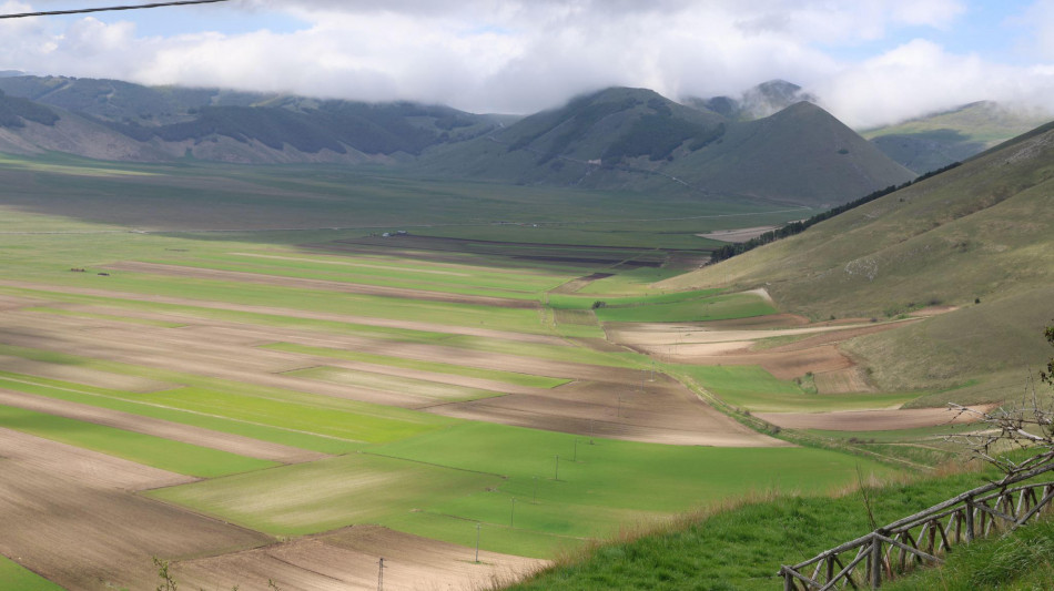 Per il grande caldo niente fioritura a Castelluccio di Norcia