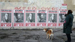 Level playing field? Tech at forefront of US immigration fight