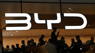 T&uuml;rkische Regierungskreise: Autobauer BYD aus China will Fabrik in der T&uuml;rkei