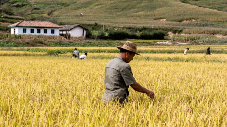 La Cor&eacute;e du Nord tiendra une r&eacute;union cl&eacute; du Parti sur l'agriculture fin f&eacute;vrier