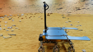 NASA confirms support for delayed European Mars rover: ESA