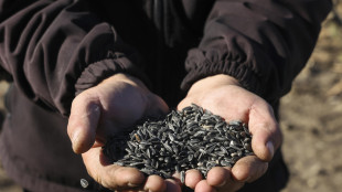 Droni ucraini hanno colpito la regione di Mosca