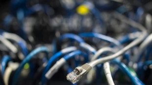 Hubig: Kabinett beschlie&szlig;t kommende Woche Gesetz zur Speicherung von IP-Adressen