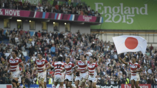 World champions Springboks to play Japan at Wembley 