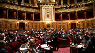 Retraites: le S&eacute;nat se penche sur l'emploi des seniors