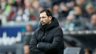 Weiter R&uuml;ckendeckung f&uuml;r Hertha-Trainer Schwarz