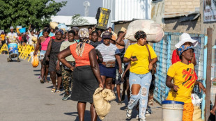 Haití bloquea importaciones que llegan por Dominicana