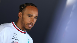 F1: Hamilton satisfait de l'amende inflig&eacute;e &agrave; Nelson Piquet pour propos racistes