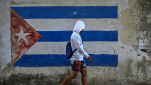 Apertura al sector privado en Cuba: v&aacute;lvula de escape ante las crisis