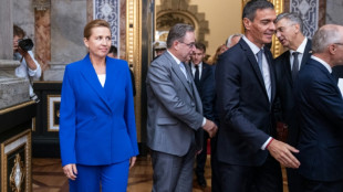 Mehr als 40 Länder Europas treffen sich zu Gipfel in Kopenhagen