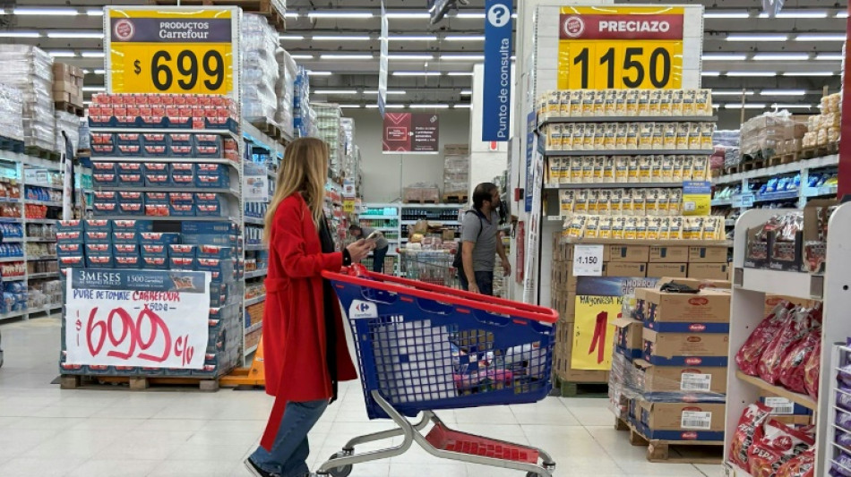 El FMI espera que la economía argentina "empiece a crecer" en el segundo semestre